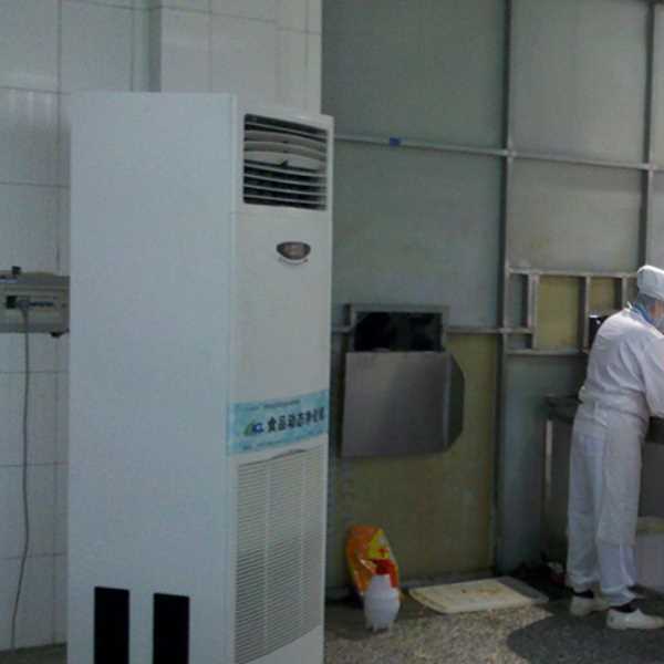 巢湖食品正负离子空气杀菌器